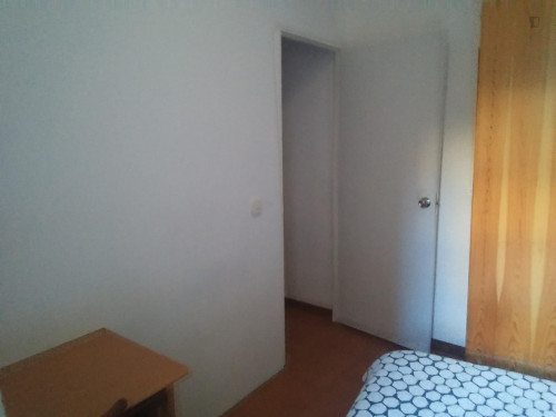 Light single bedroom close to Public University of Barcelona