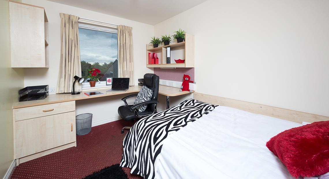  1 Bed Apartment  -  Q3 Apartments  - Gallery -  1