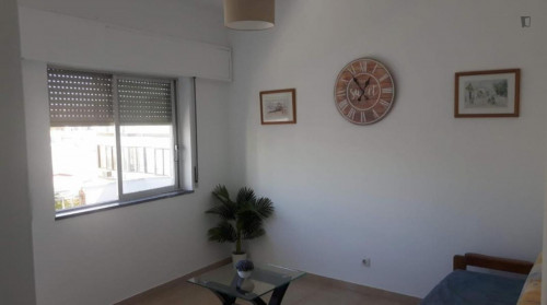 Homely 1-bedroom apartment in the centre of Faro