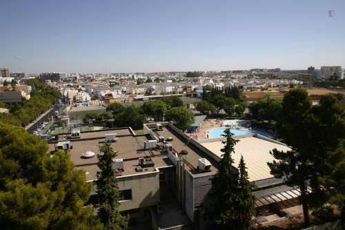 Neat single bedroom not far from Universidad de Sevilla