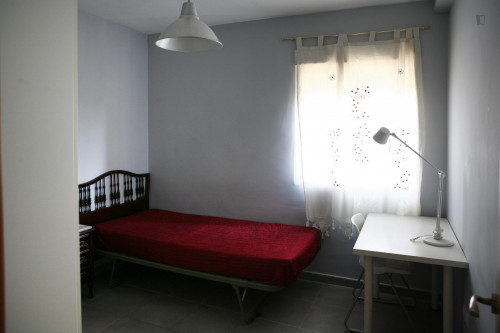 Neat single bedroom not far from Universidad de Sevilla
