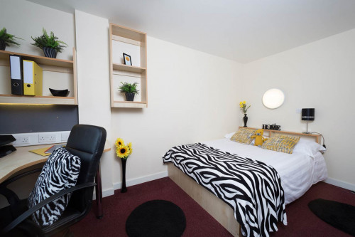 Aspect 3 - Gallery - 7