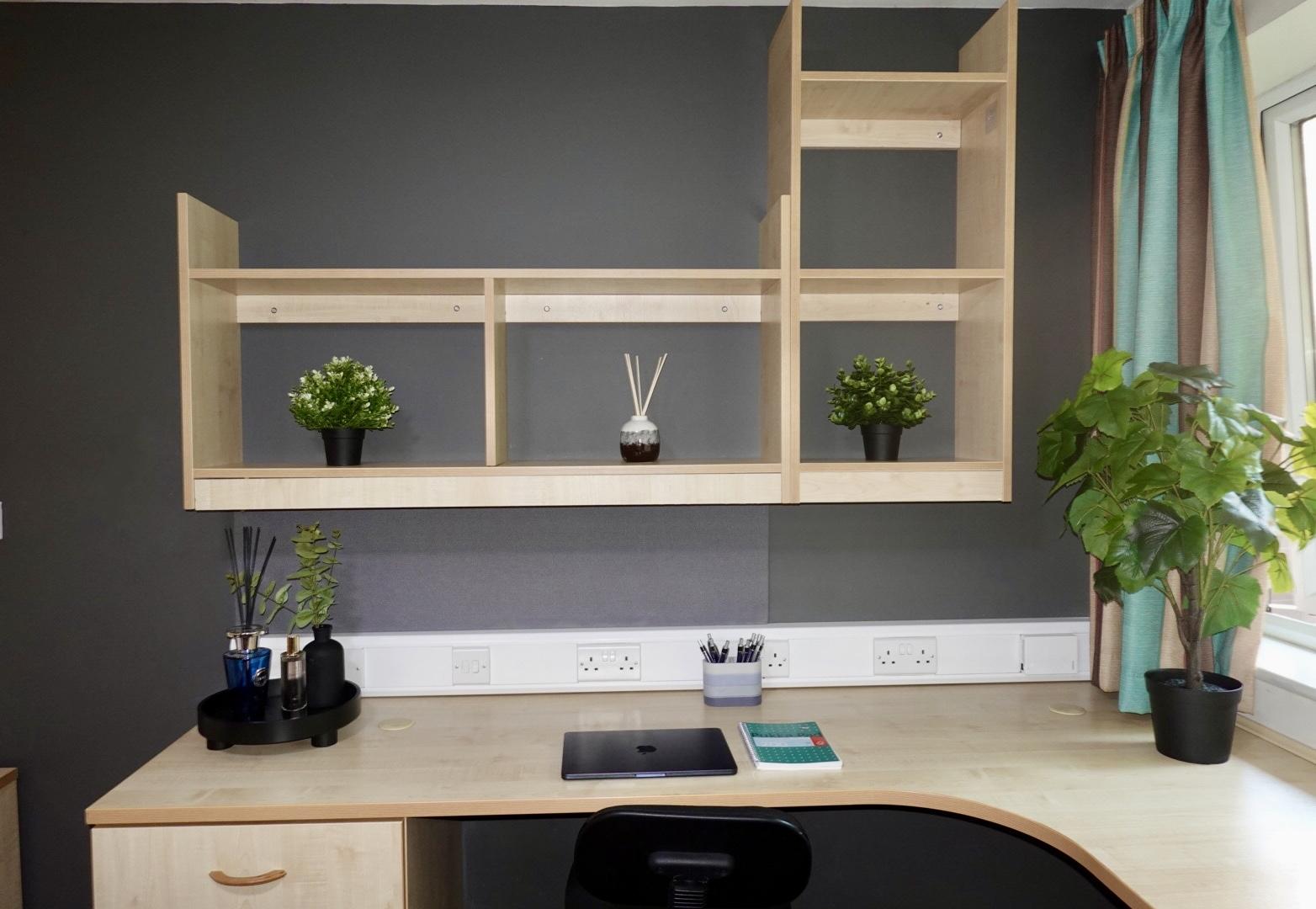  Premium Studio  -  Aspect 3  - Gallery -  3