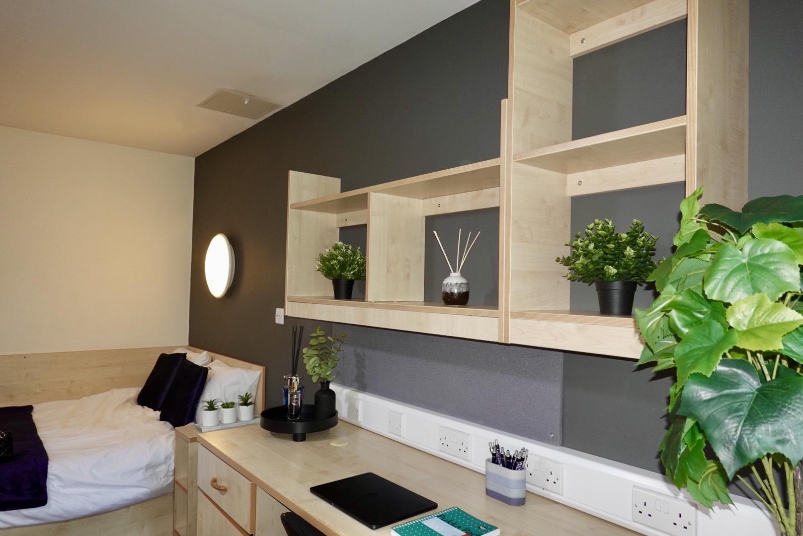  Premium Studio  -  Aspect 3  - Gallery -  4