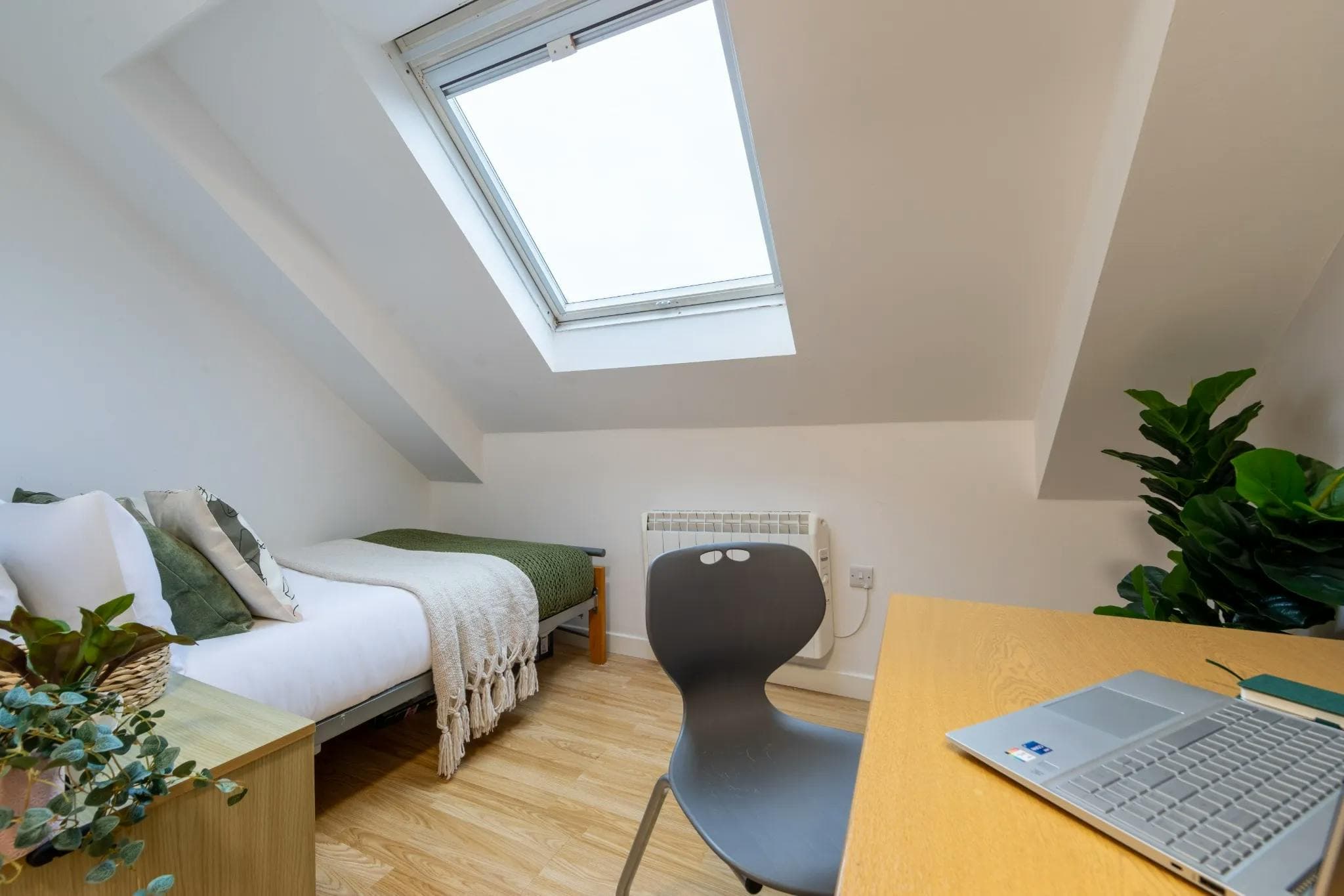  Bronze Non En-Suite  -  Castle Gate Haus  - Gallery -  1