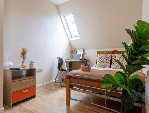  Silver En-Suite  -  Castle Gate Haus  - Gallery -  5