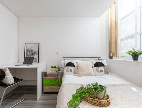 Gold Non En-Suite - Castle Gate Haus - Gallery - 4