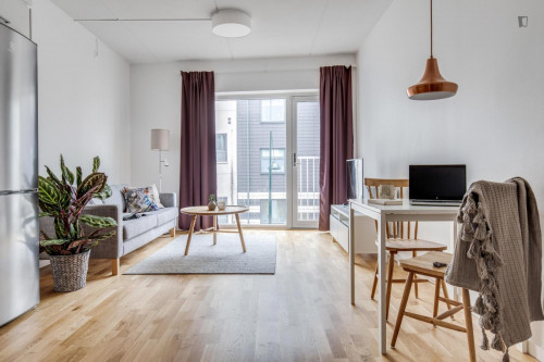 Spacious studio in Malmö