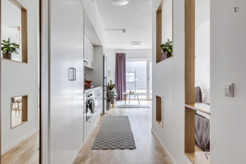 Spacious studio in Malmö