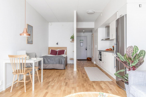 Spacious studio in Malmö