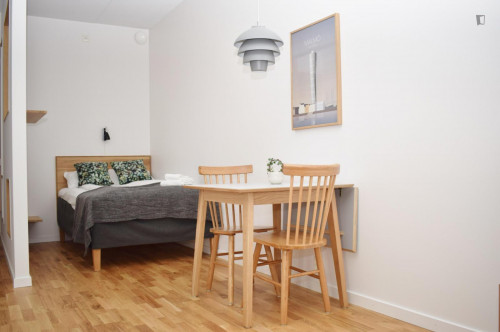 Spacious studio in Malmö - Gallery - 9