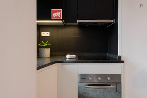 Stylish 1-Bedroom apartment with balcony near Faria Guimarães metro station