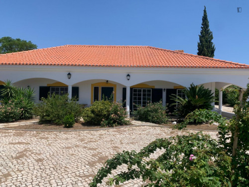 Amazing 3 Bedroom House with a swimming pool close to Setúbal - Gallery - 8