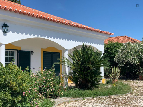 Amazing 3 Bedroom House with a swimming pool close to Setúbal