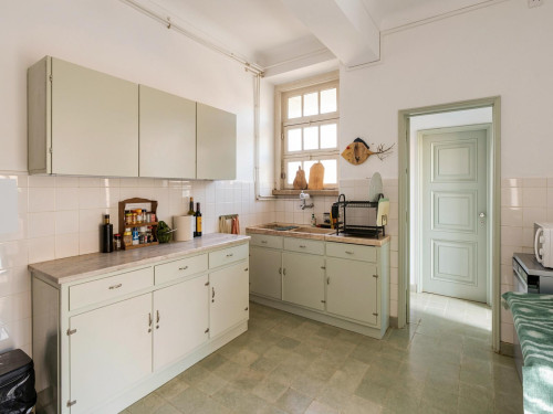 Vasco da Gama Home - Gallery - 13
