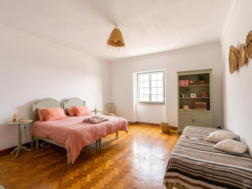 Vasco da Gama Home - Gallery - 11