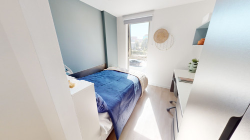 Enso - Colchester - Gallery - 27