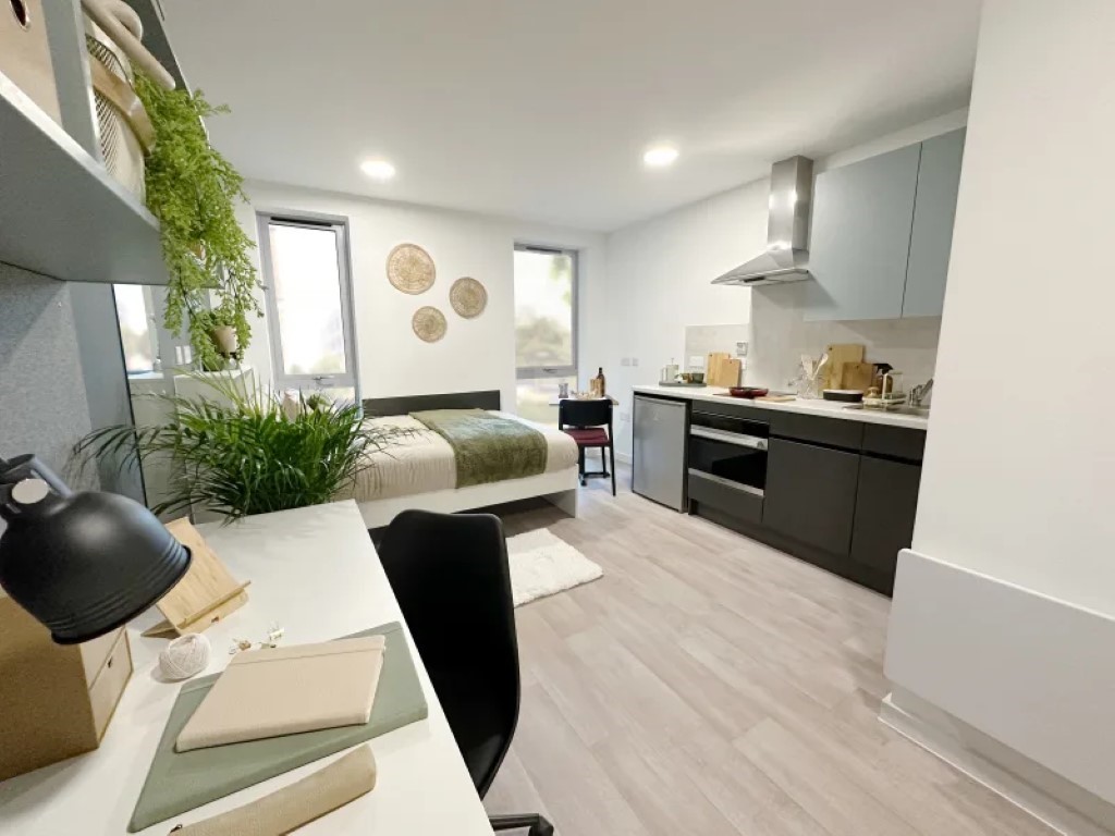  Luxury Studio  -  Enso - Colchester  - Gallery -  2