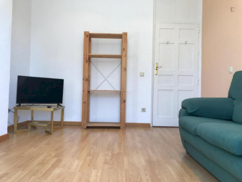 Lovely single bedroom close to Universidad Carlos III de Madrid