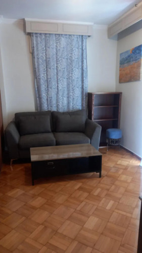 Spacious four bedroom apartment near the University of Thessaloniki - Gallery - 7