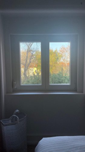 Cosy double bedroom in a renovated apartment near Areeiro metro station