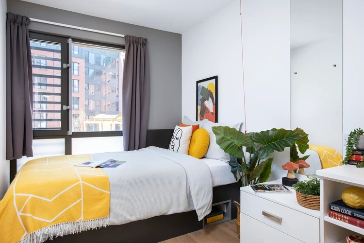  Double Wheelchair Accessible Studio  -  Morriss House  - Gallery -  1