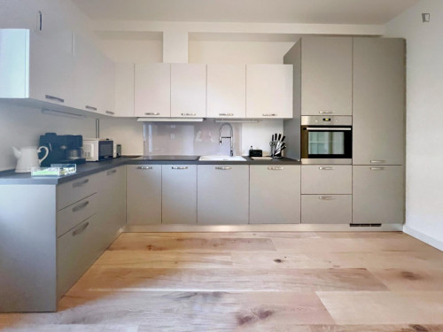 Splendid 2-bedroom apartment in the heart of downtown - Gallery - 13