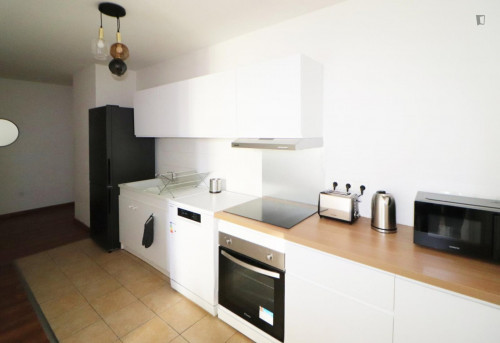 Pleasant double bedroom in a 4-bedroom apartment, next to Lille Grand Palais metro station - Gallery - 5