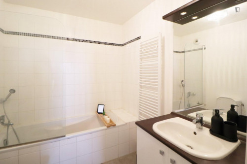Great double bedroom in a 6-bedroom apartment, close to Crous Lille Nord-Pas-de-Calais - Gallery - 8