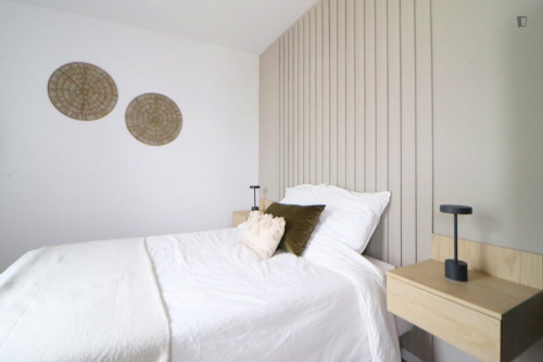 Great double bedroom in a 6-bedroom apartment, close to Crous Lille Nord-Pas-de-Calais