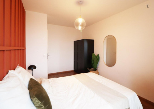 Lovely double bedroom in a 6-bedroom apartment, not far from Lille Catholic University 