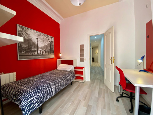 Spacious single bedroom near Tirso de Molina Plaza - Gallery - 18