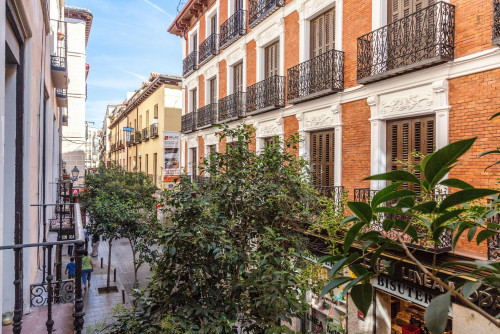 Spacious single bedroom near Tirso de Molina Plaza - Gallery - 5