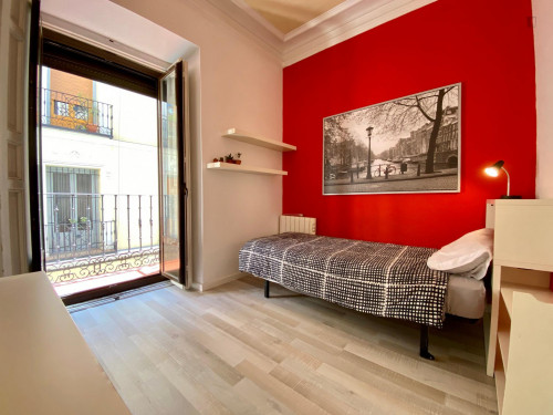 Spacious single bedroom near Tirso de Molina Plaza - Gallery - 17