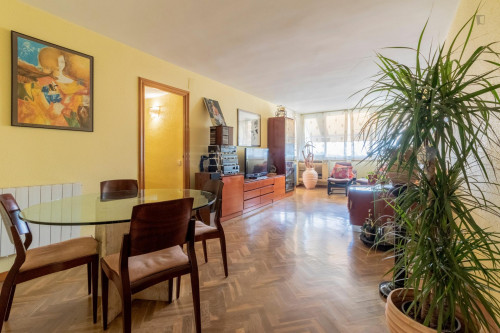 Single room in a flat with swimming pool, in Les Corts