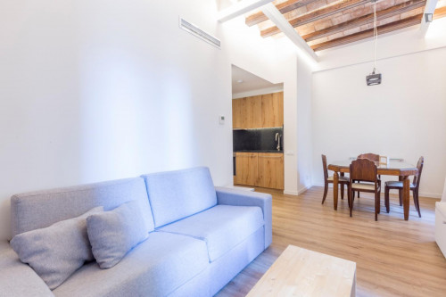 Beautiful 1-bedroom apartment close to Universitat Pompeu Fabra