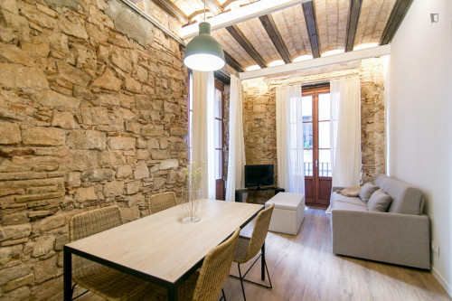 Charming 1-bedroom apartment in Born