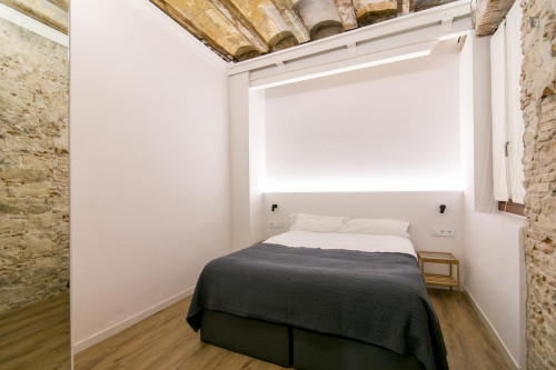 Charming 1-bedroom apartment in Born