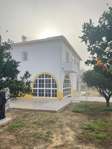 Comfy single bedroom in Quinta do Anjo