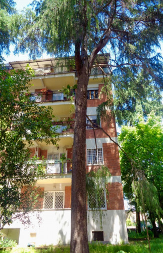 Double bedroom in shared apartment in MONTI TIBURTINI - PERTINI HOSPITAL area