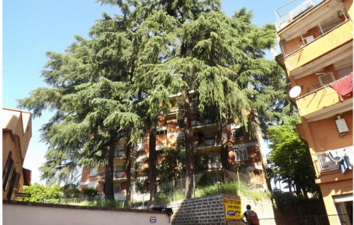 Double bedroom in shared apartment in MONTI TIBURTINI - PERTINI HOSPITAL area