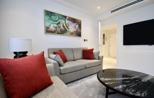 Regent's Park - Gallery - 12
