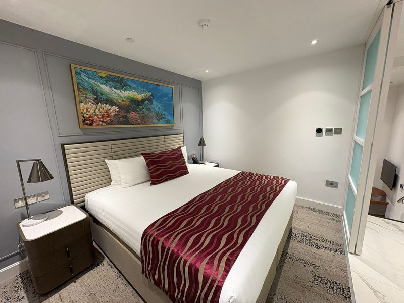  Studio  -  Regent's Park  - Gallery -  1