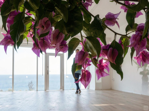 Capo Ferro Home - Gallery - 33