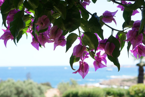 Capo Ferro Home - Gallery - 32