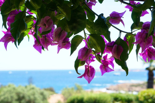Capo Ferro Home - Gallery - 44