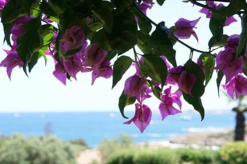 Capo Ferro Home - Gallery - 59