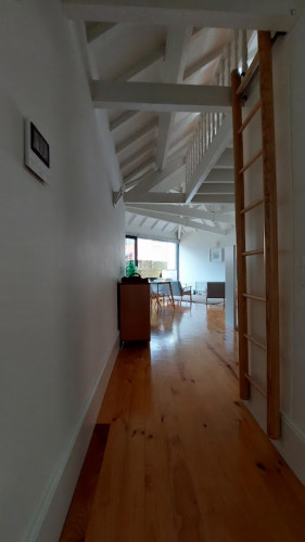 Appealing 1-bedroom apartment with terrace in Cedofeita