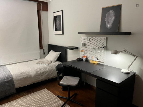 Nice single bedroom, with a private bathroom, in a 2-bedroom flat