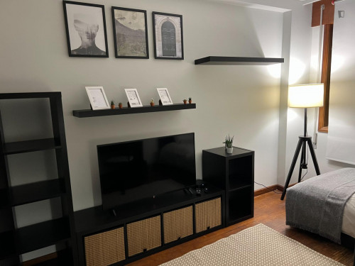 Nice single bedroom, with a private bathroom, in a 2-bedroom flat